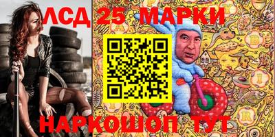 СК Новодвинск