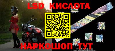 СК Новодвинск