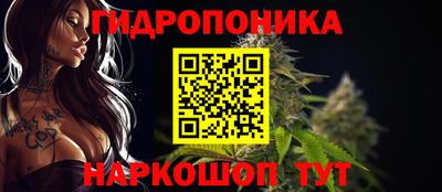 СК Новодвинск