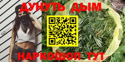 стафф Новозыбков