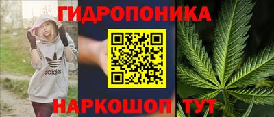 эйфоретик Новокубанск