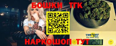 СК Новодвинск