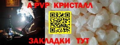 СК Новодвинск