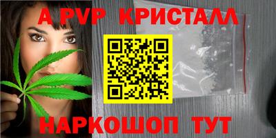 стафф Новозыбков