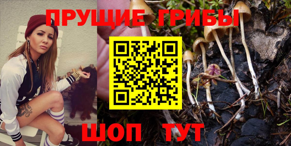 Галлюциногенные грибы Magic Shrooms Тулун
