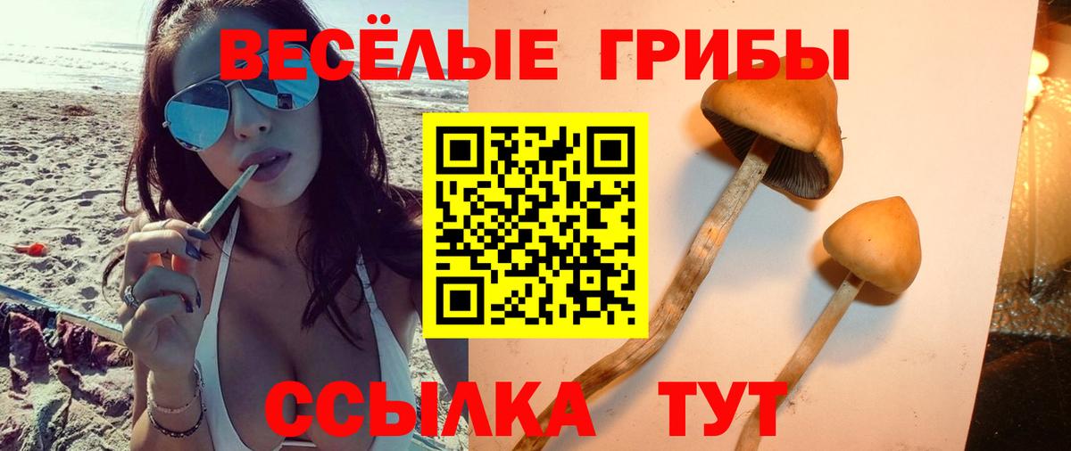 Галлюциногенные грибы мухоморы  Псилоцибиновые грибы мицелий  Вход с VPN  где найти наркотики  Тулун 